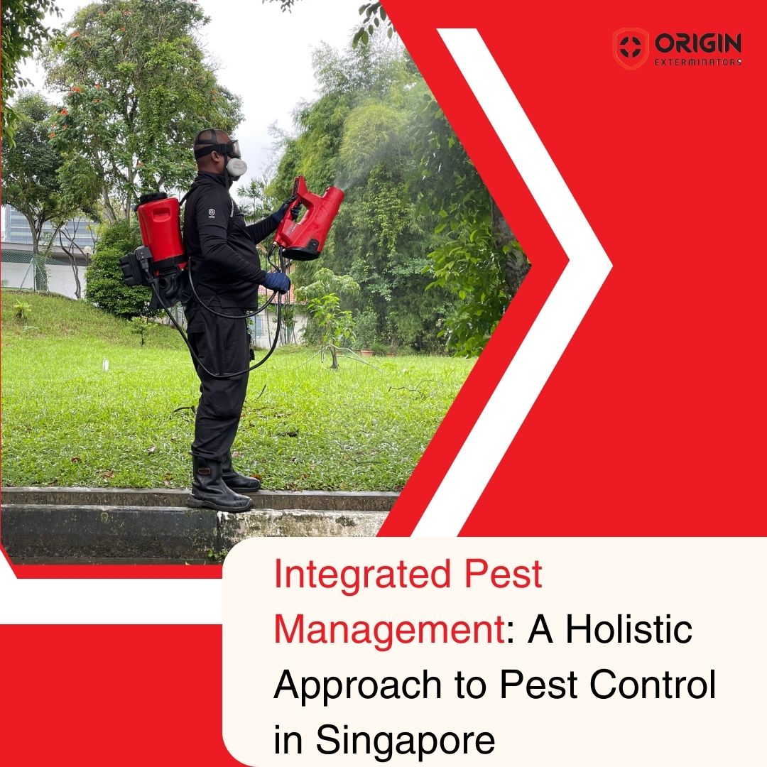 Integrated Pest Management A Holistic Approach to Pest Control in
